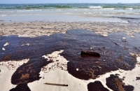 Oil Spill Damage