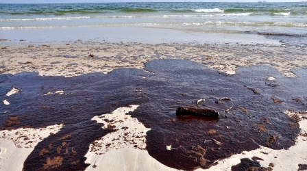 Effects of Oil Spills